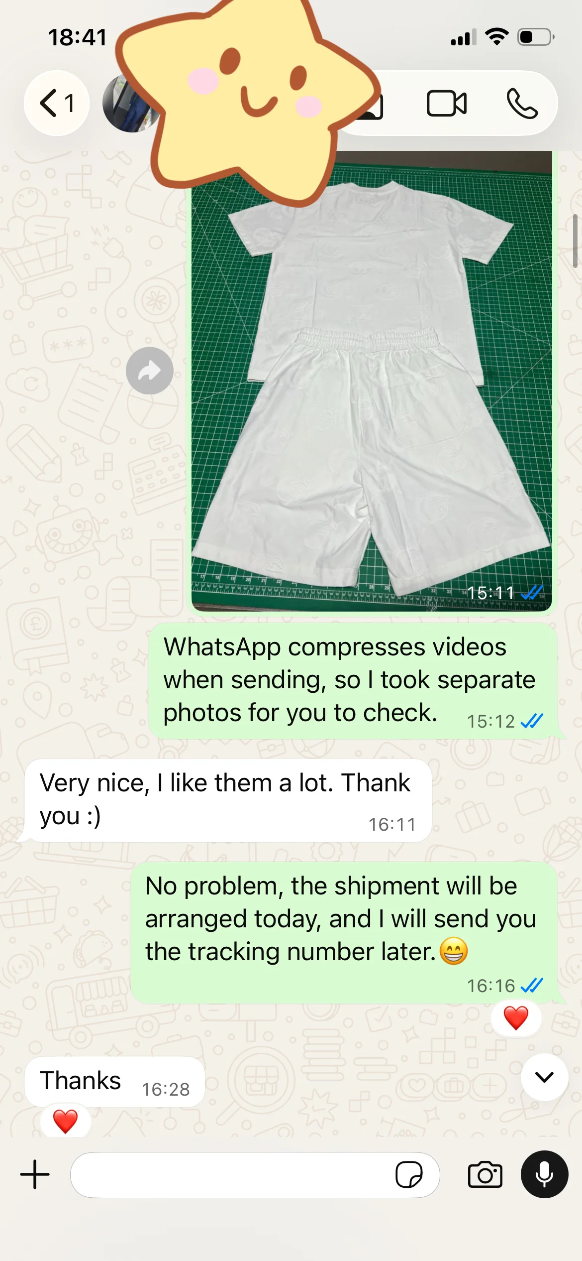 Customer order screenshot 04
